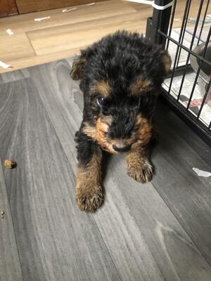 Our little sweetheart