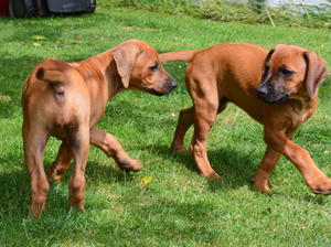 Two beautiful girls remaining