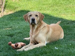 Chilling in the garden.