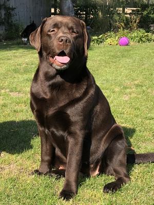 Barefootbay Our Girl Blue - 'Bella'