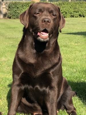 BarefootBay Our Girl Blue 'Bella'