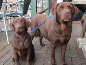 Roxy and her daughter - Oct 2013