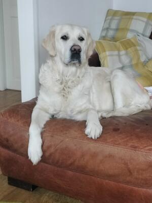 Hollie such a beautiful lady