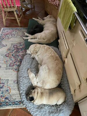 Duvet day ..Hollie and granny Cassie