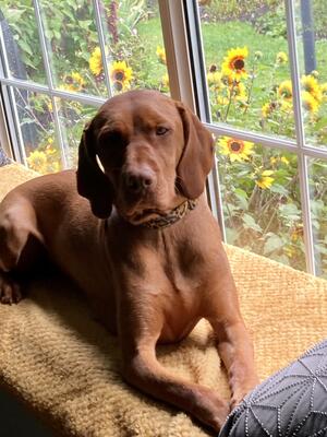 Hazels favourite spot