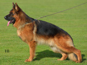 Finn von der Piste Trophe