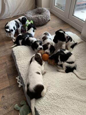Play time