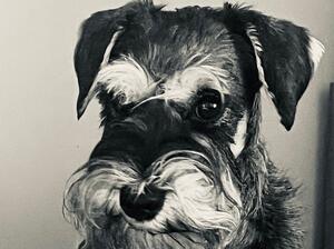 Elinor