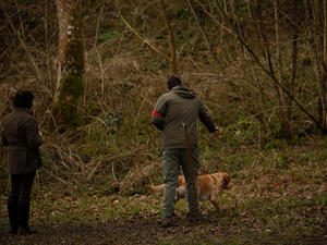 Competing at the Arun and Downland Puppy Test