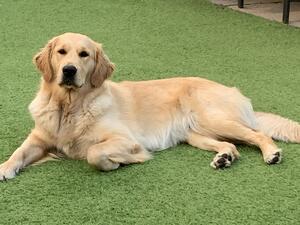 Lucie relaxing in the garden