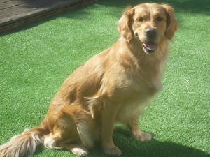 Portomel There She Goes (Missy) Mum