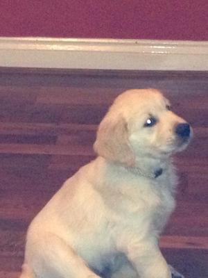 The handsome boy