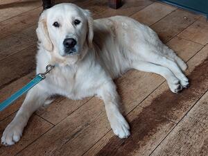 Pub Skye