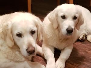 Pippa and Granny
