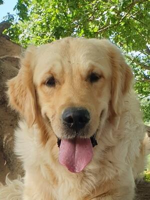 Finley Posing