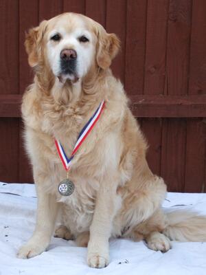 My old boy Chester RIP