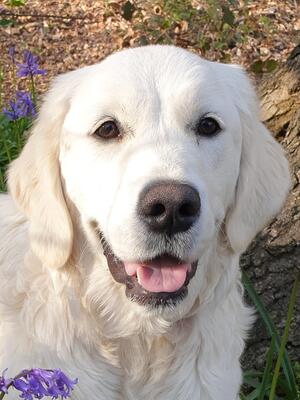 Posing Lola