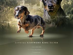 Sire - Boycie