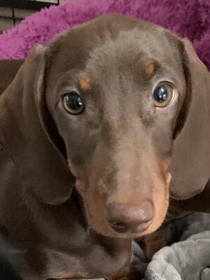 Baby Betty