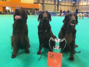 BASC winners