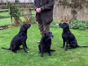 Wilson, Etta and Minnie