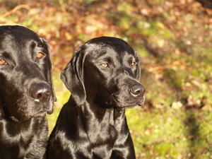 Mother and Daughter