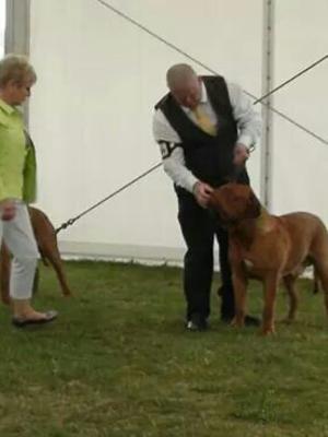 windsor reserve best male