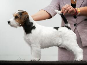 Whizz Side Profile