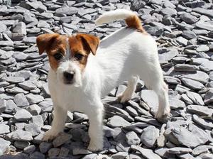Gilda 4mths