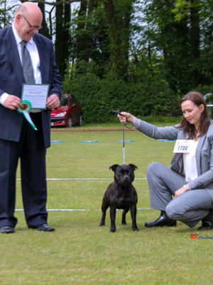 Roxie with Judge Kevin Brown BCC