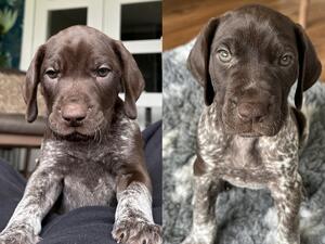 Two boys available
