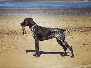 Winnie at 6 months old
