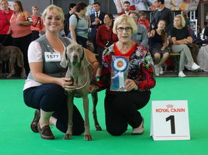 Best Junior WORLD DOG SHOW 2018