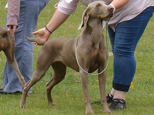 Lotti at 2 Years