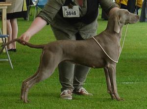 Lotti 2014