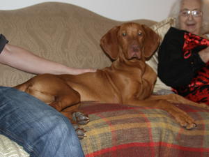 Bruce at 6 months old