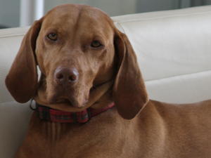 Rhona