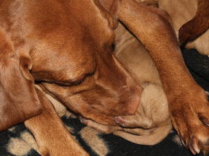 Rhona and baby