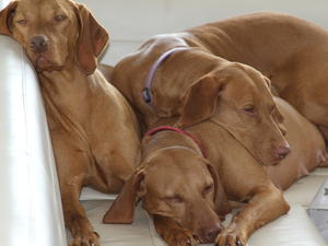 Anna, Rhona (centre) and Berta