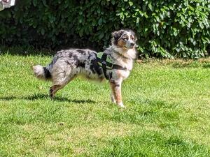Meryl age 13 months