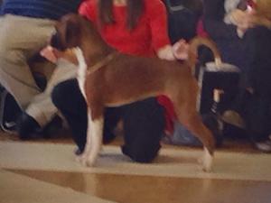 Ruby