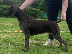 Soellis Fancy Nancy aged 11 months