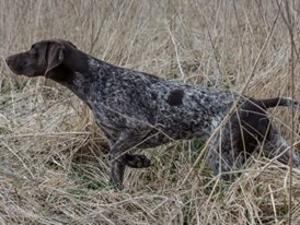 Marge doing what she loves best