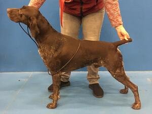 Elfrindew Endrick to Valger