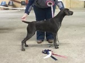 Fannie aged 7 months