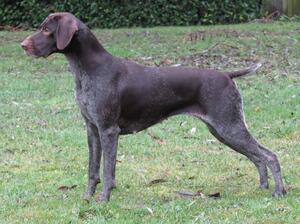 Soellis Fancy Nancy aged 18 month