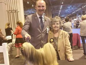 Gino Best of Breed at LKA champ show 2016