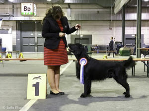 BOB 95th IDS Luxembourg