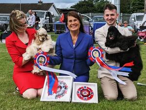Best in Show Club Show
