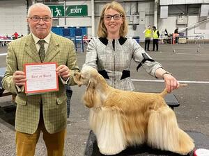 Mr Frank Kane - SKC Best of Breed